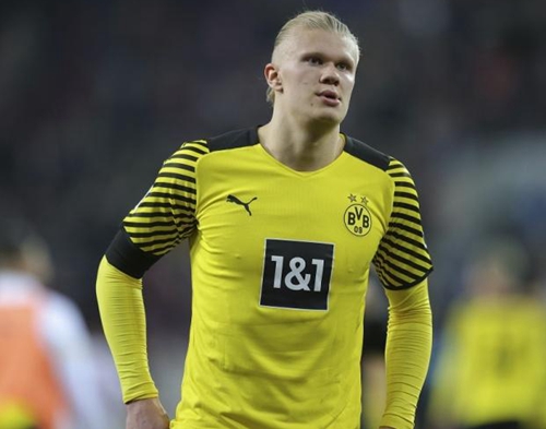 篮球篮网全队配合默契提升（篮网全队默契度显著提升）